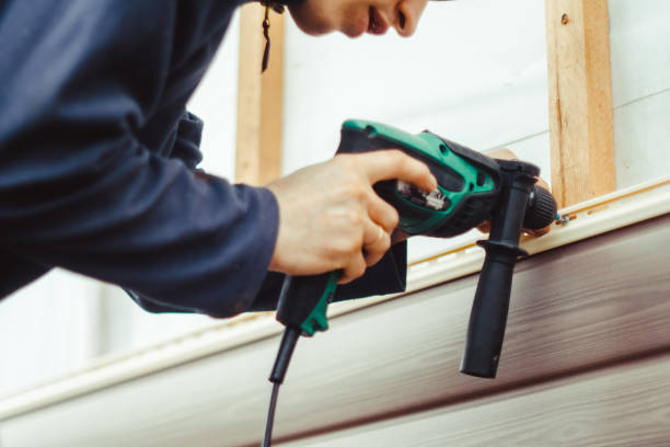 Best Aluminum Siding Installation  in South Run, VA